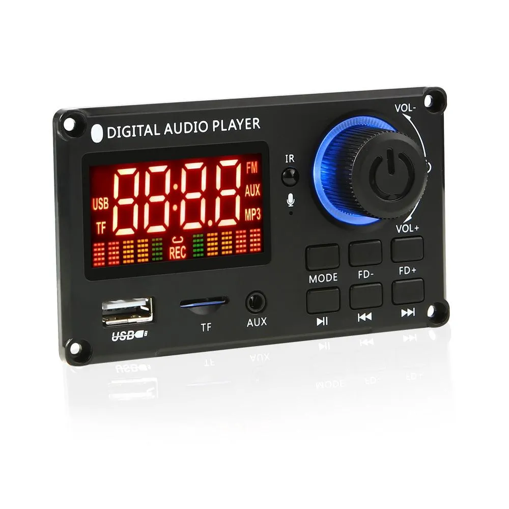 12V 100W Bluetooth Power Amp Board W / Recording