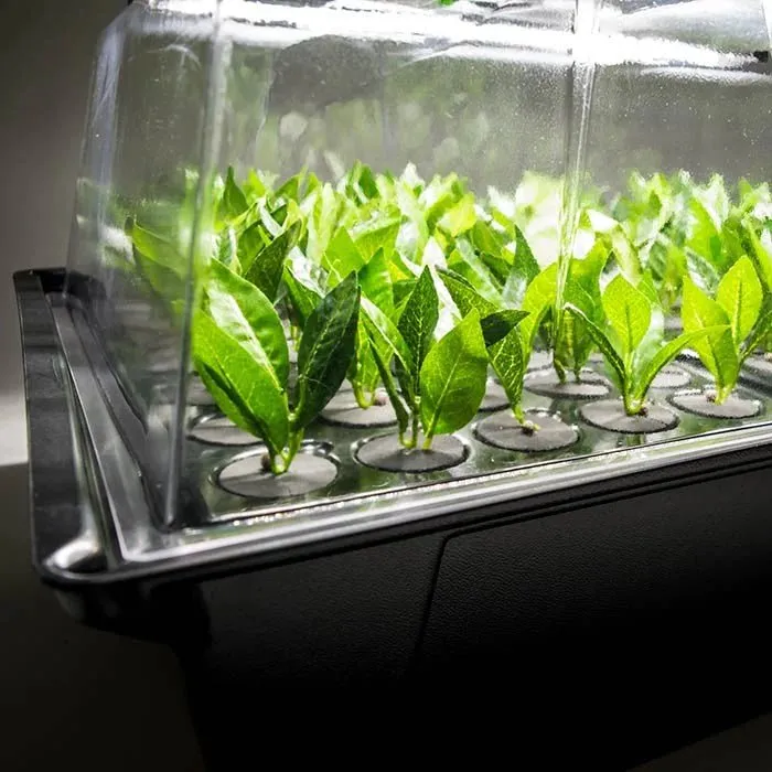 20 Plant Aeroponic Propagation Mister | Nutriculture X-Stream
