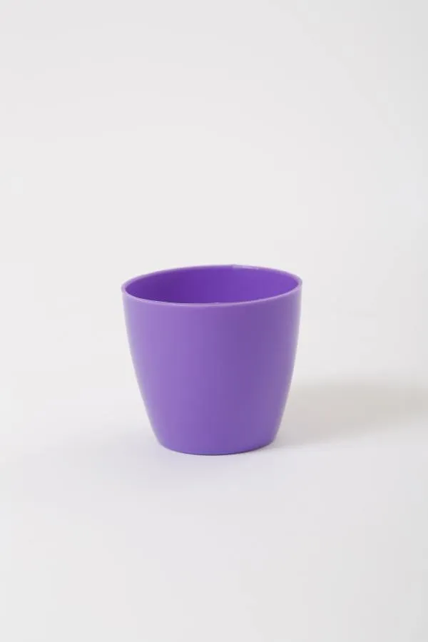 2.5 Inch Violet Singapore Pot (67mm)