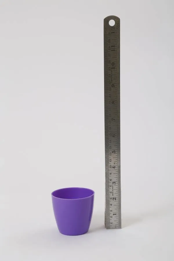 2.5 Inch Violet Singapore Pot (67mm)