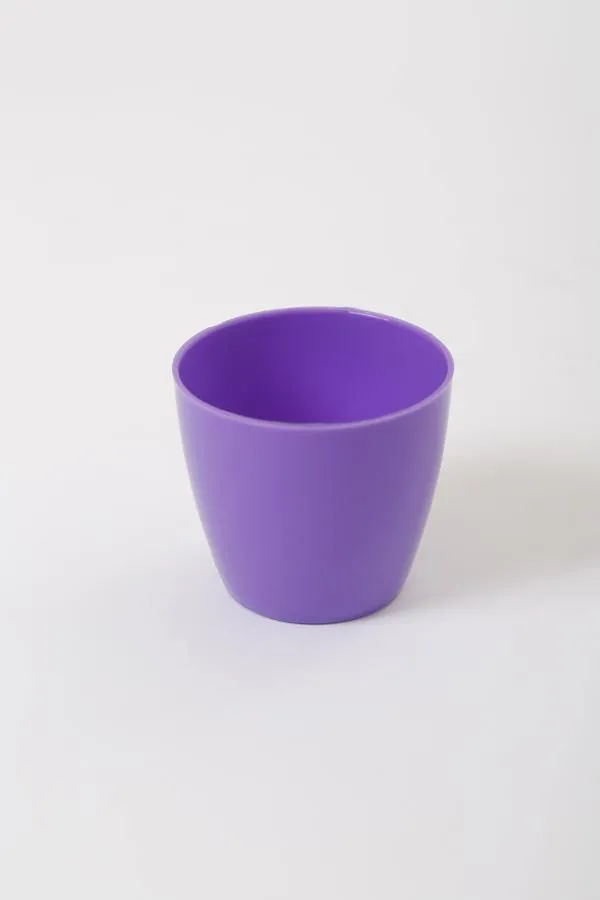 2.5 Inch Violet Singapore Pot (67mm)