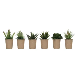 7 1/4" Faux Succulents in Paper Pots