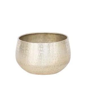 Adonis Silver Carved Bowl/Planter - Medium