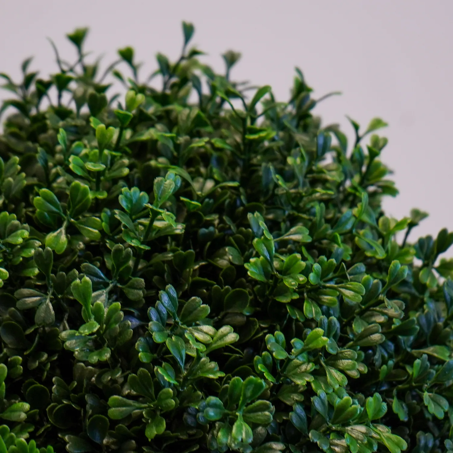 Artificial Outdoor Boxwood Dual Orb Tree