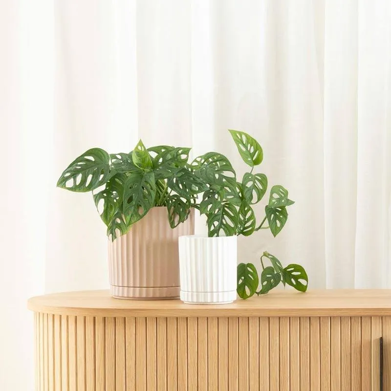 Athens Planter - White