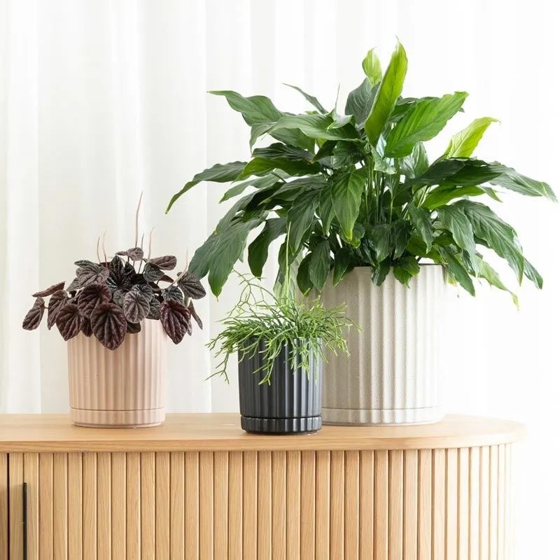 Athens Planter - White