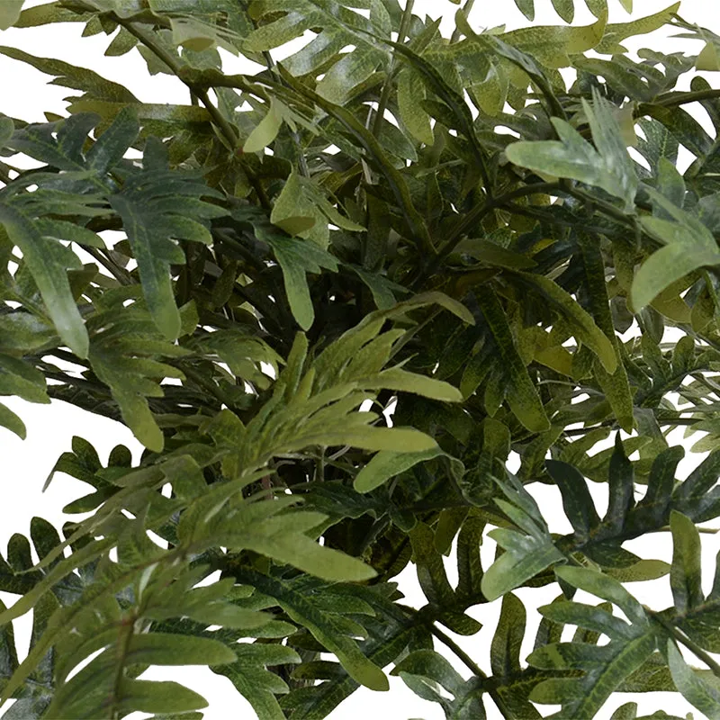 Athyrium Lady Fern Spray, 22"L