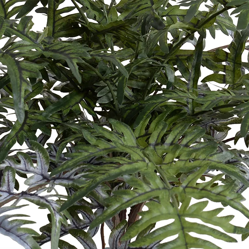 Athyrium Lady Fern Spray, 22"L