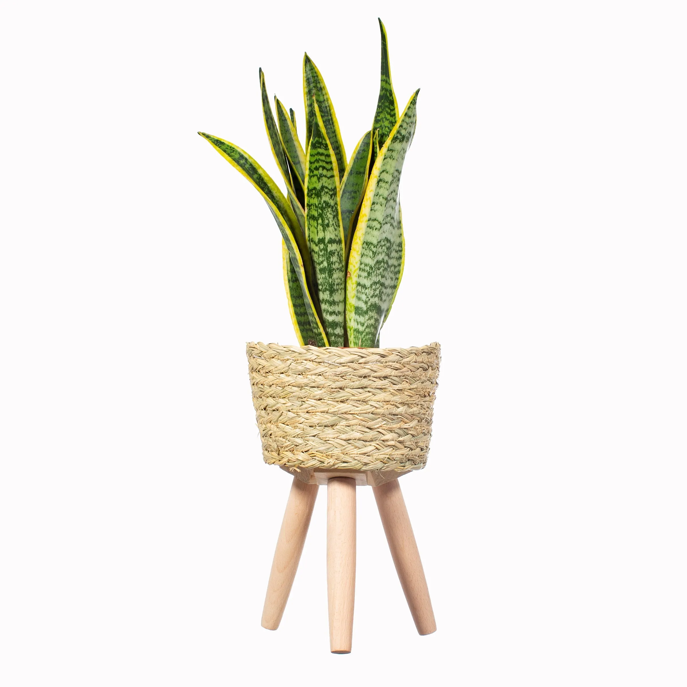 Basket Planter on Legs