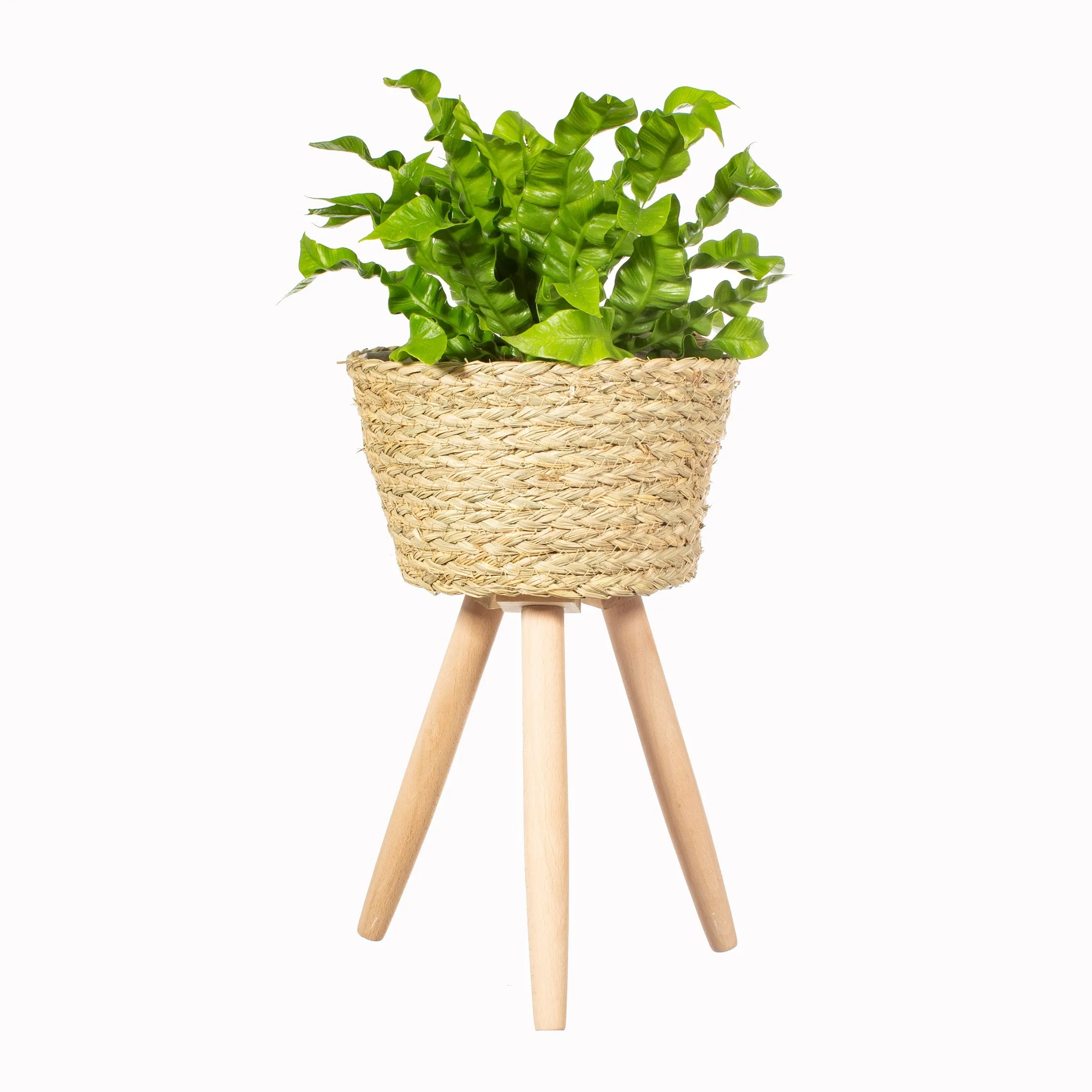 Basket Planter on Legs