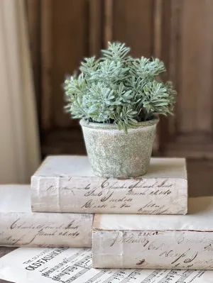 Belmont Pot | 8" | Purslane | NOT CURRENTLY IN STOCK-New For Spring 2025!