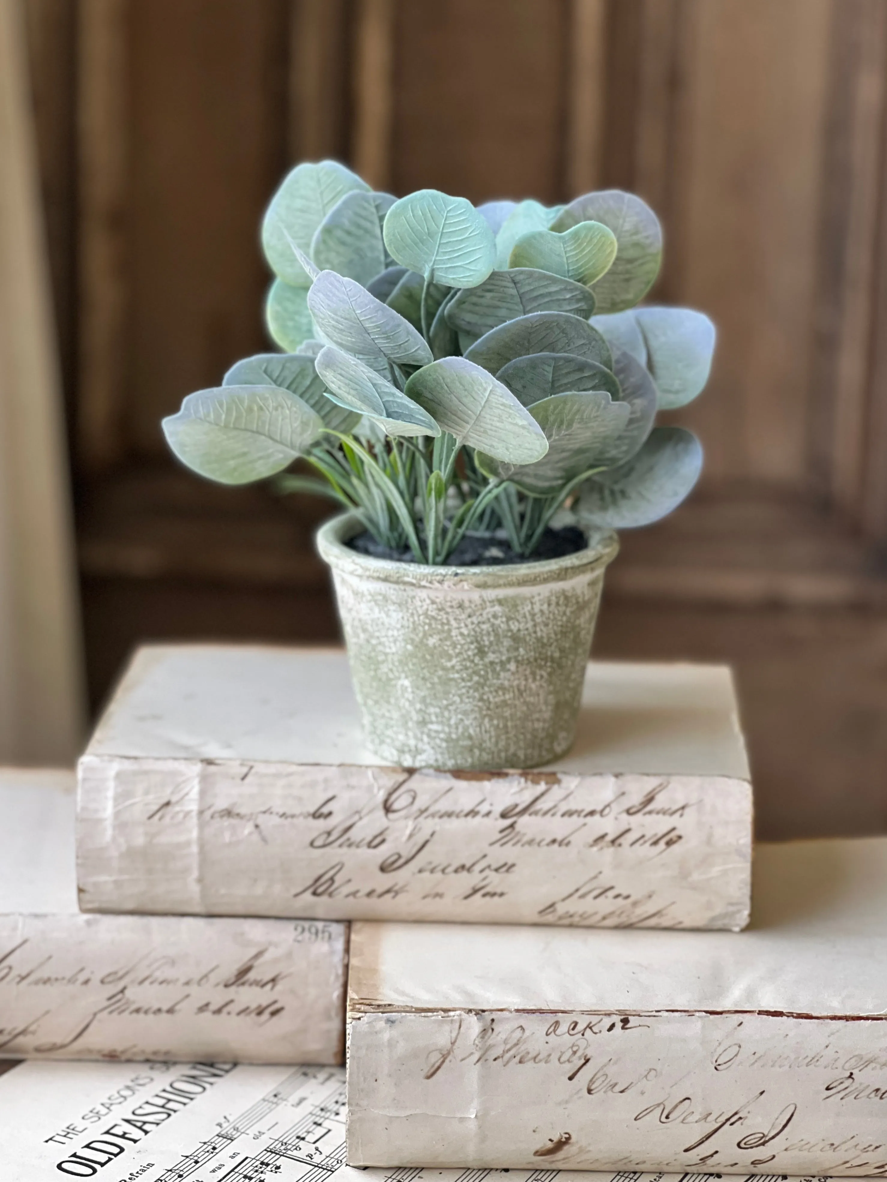 Belmont Pot | 8" | Silver Dollar | NOT CURRENTLY IN STOCK-New For Spring 2025!