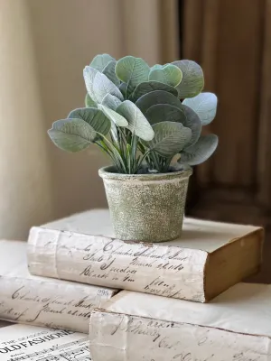 Belmont Pot | 8" | Silver Dollar | NOT CURRENTLY IN STOCK-New For Spring 2025!