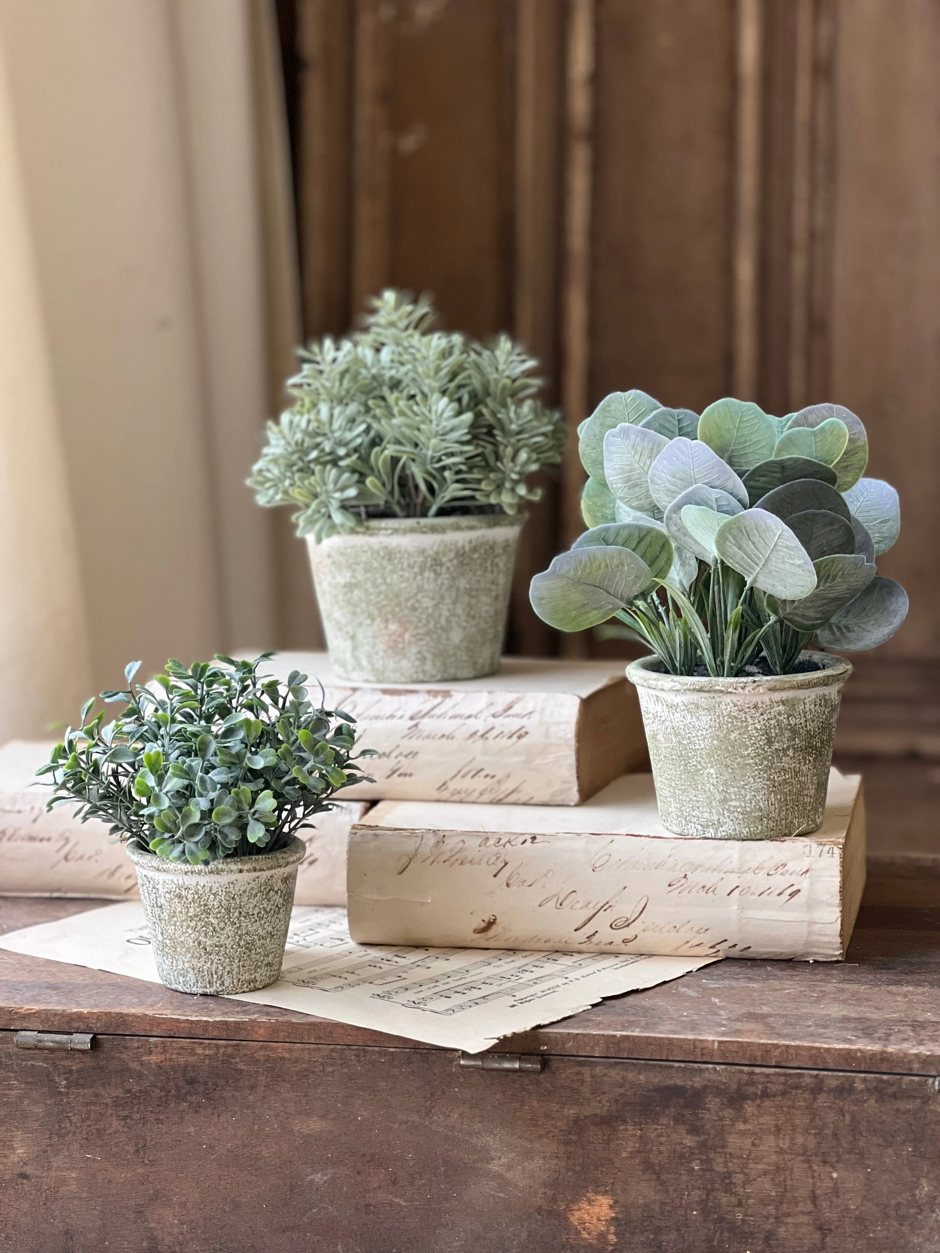 Belmont Pot | 8" | Silver Dollar | NOT CURRENTLY IN STOCK-New For Spring 2025!