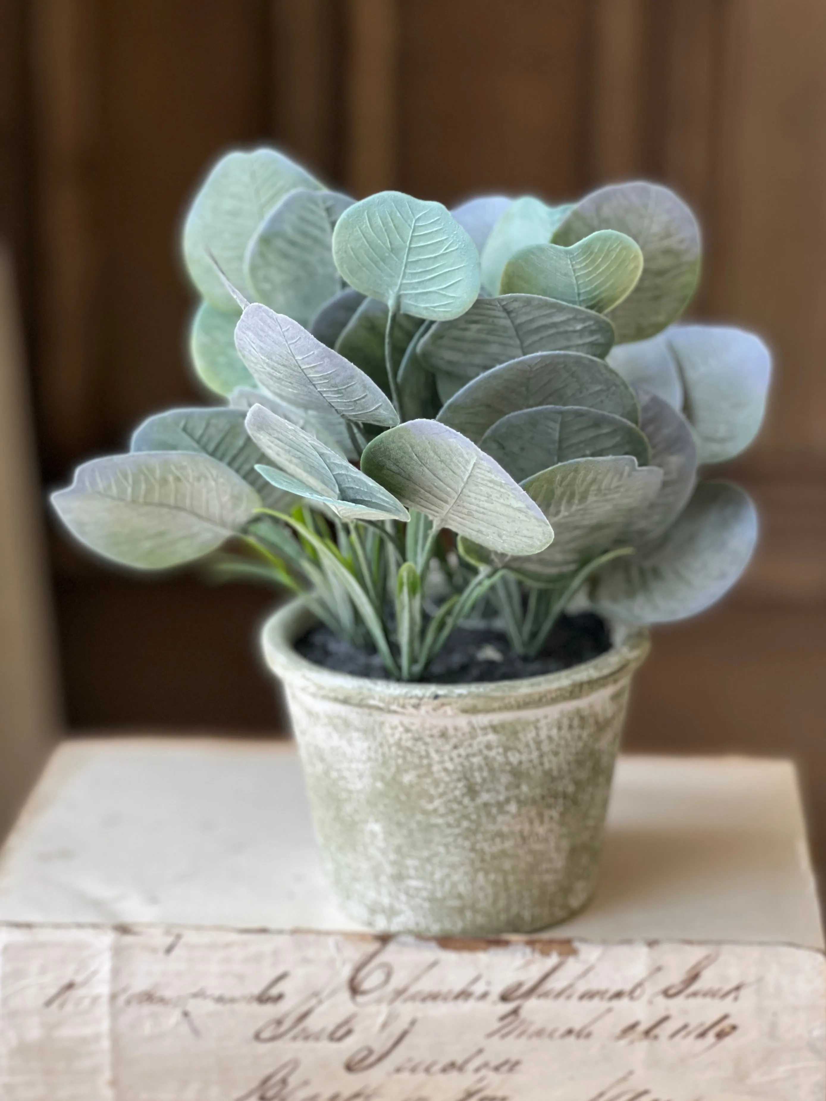 Belmont Pot | 8" | Silver Dollar | NOT CURRENTLY IN STOCK-New For Spring 2025!