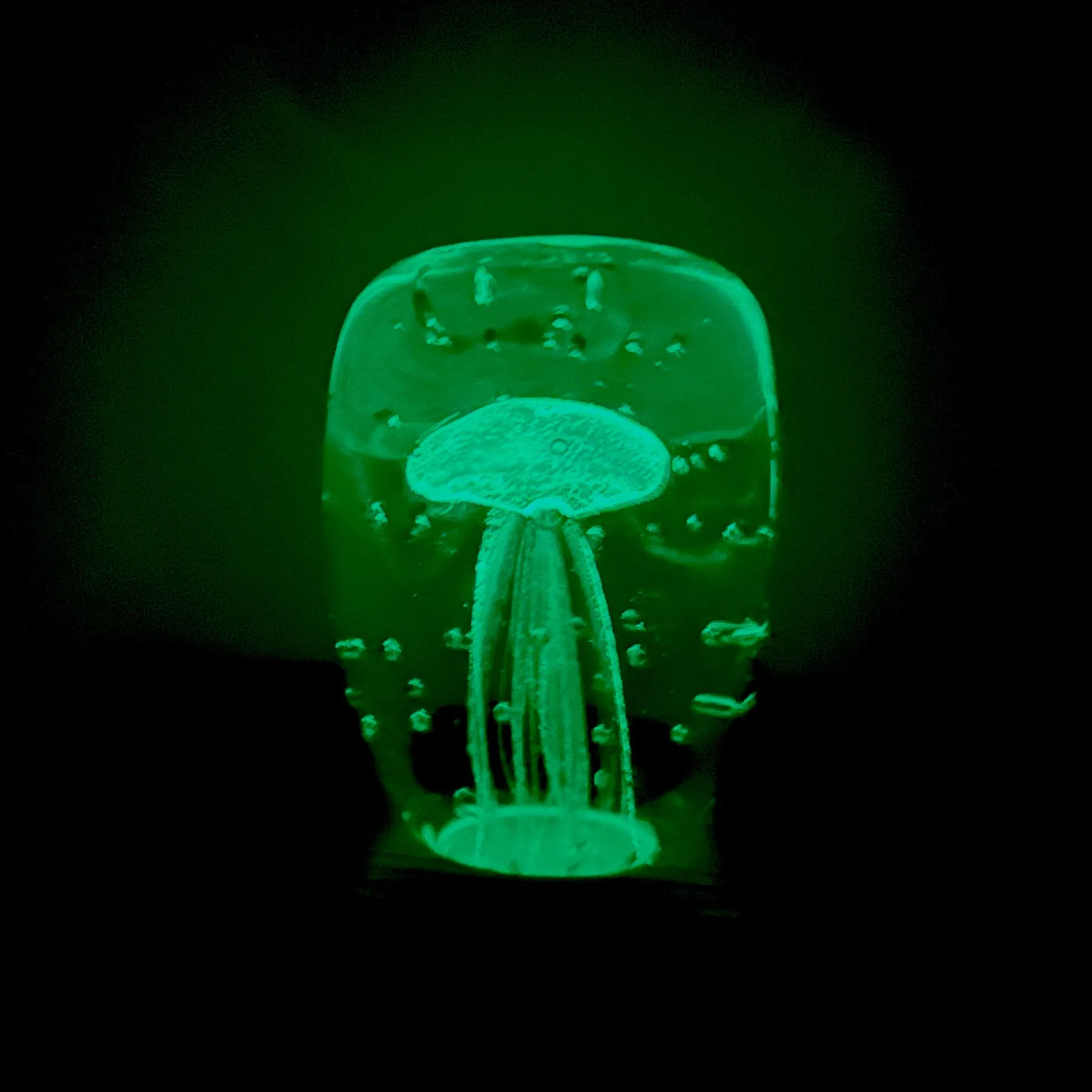 Block Glow in the Dark Jellyfish Paperweight 5, Blue