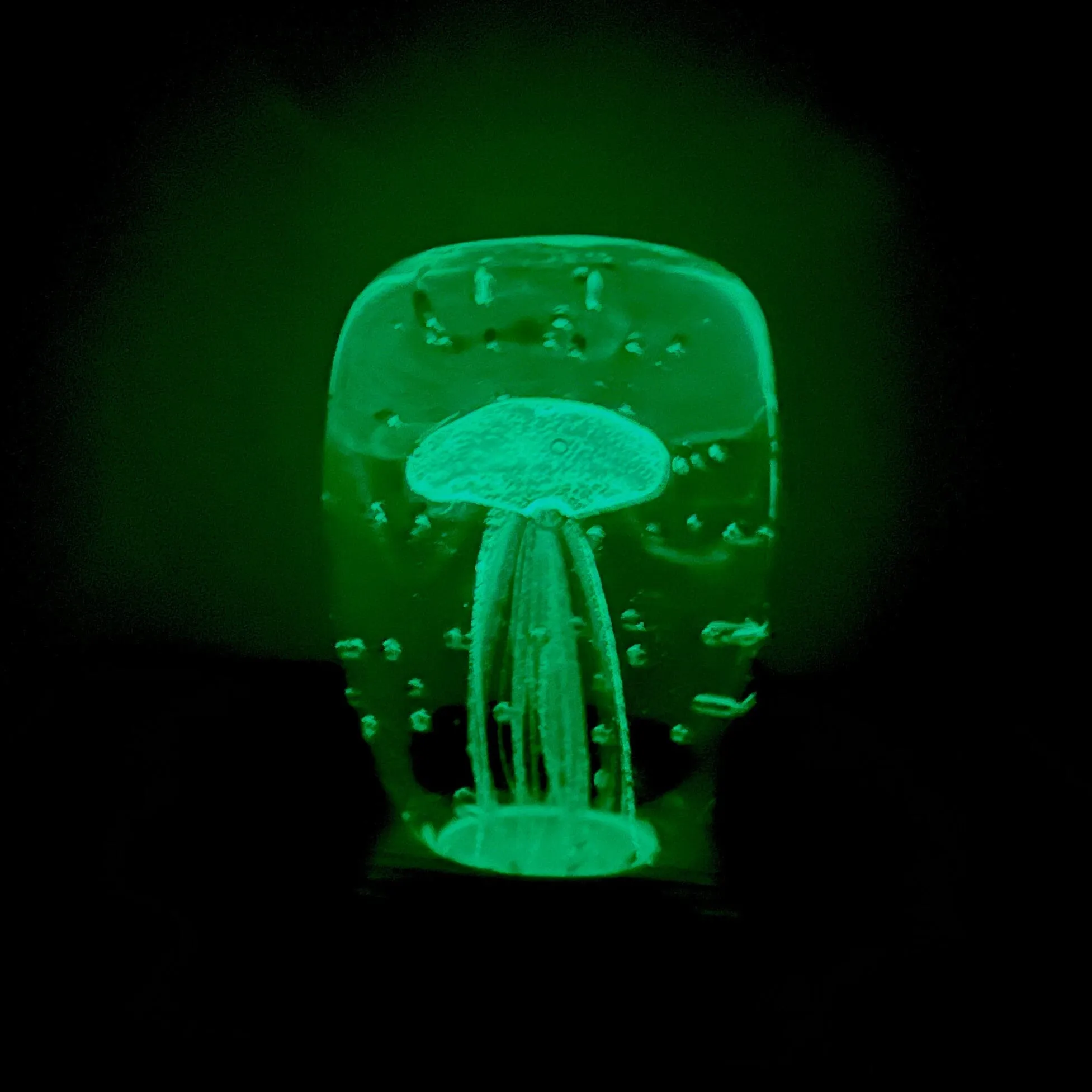 Block Glow in the Dark Jellyfish Paperweight 7, Turquoise