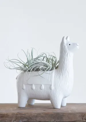 Ceramic Llama Planter