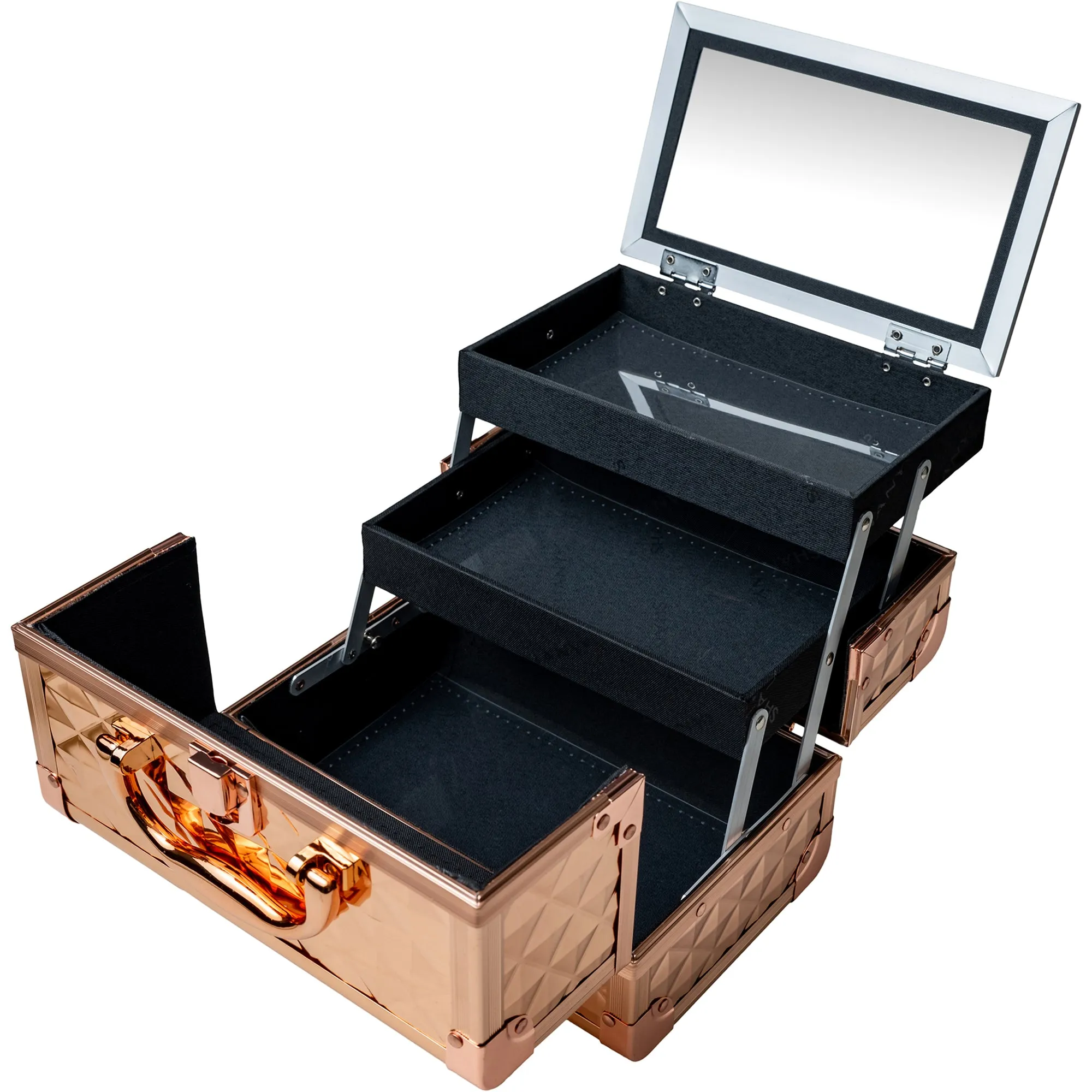 Chic Makeup Train Case with Mirror