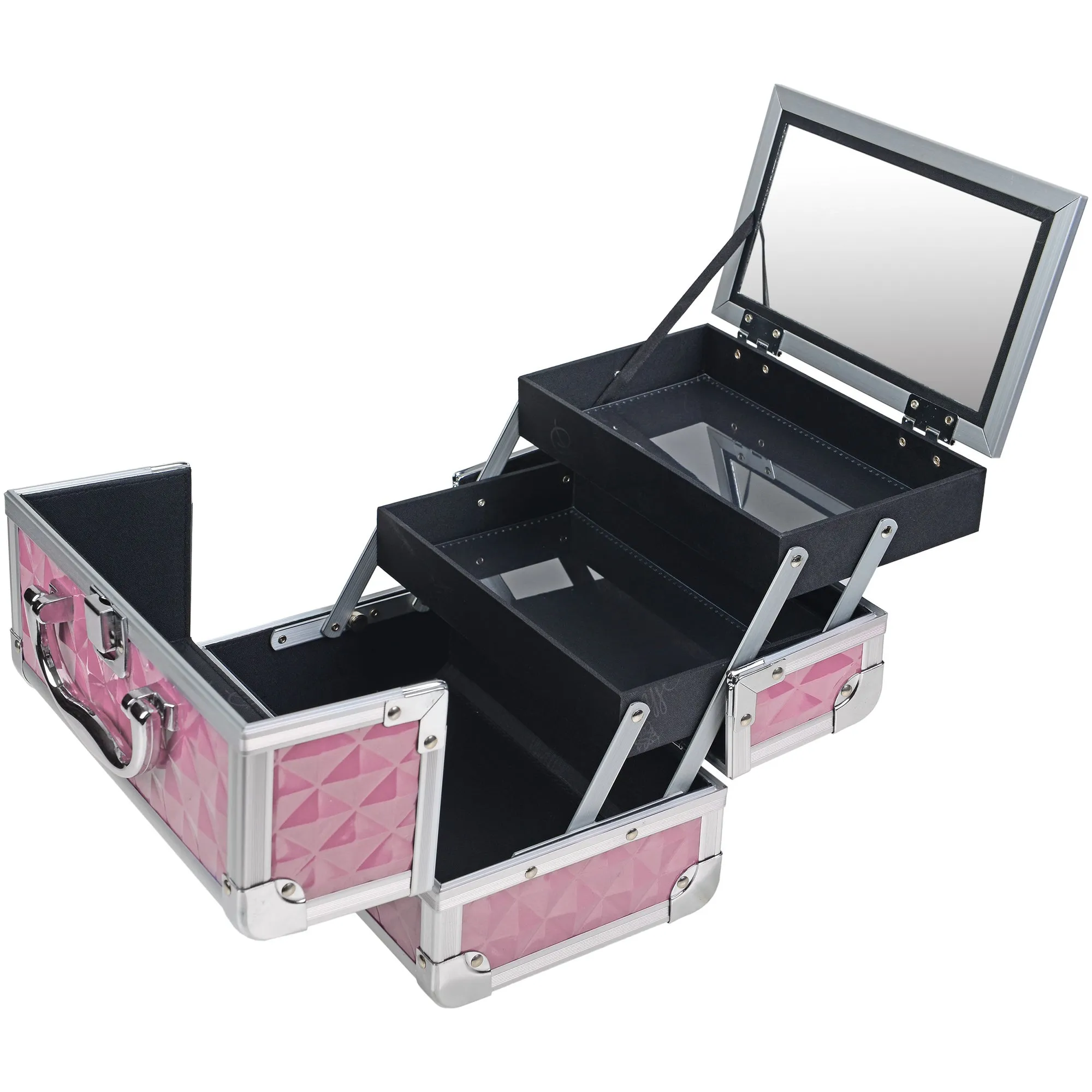 Chic Makeup Train Case with Mirror