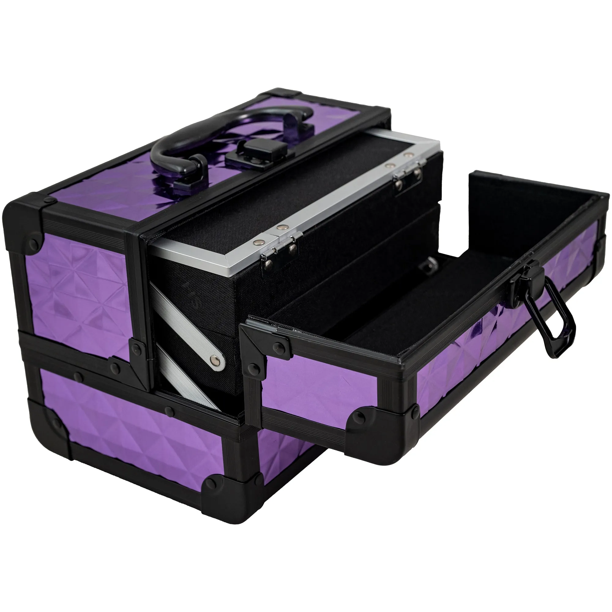 Chic Makeup Train Case with Mirror