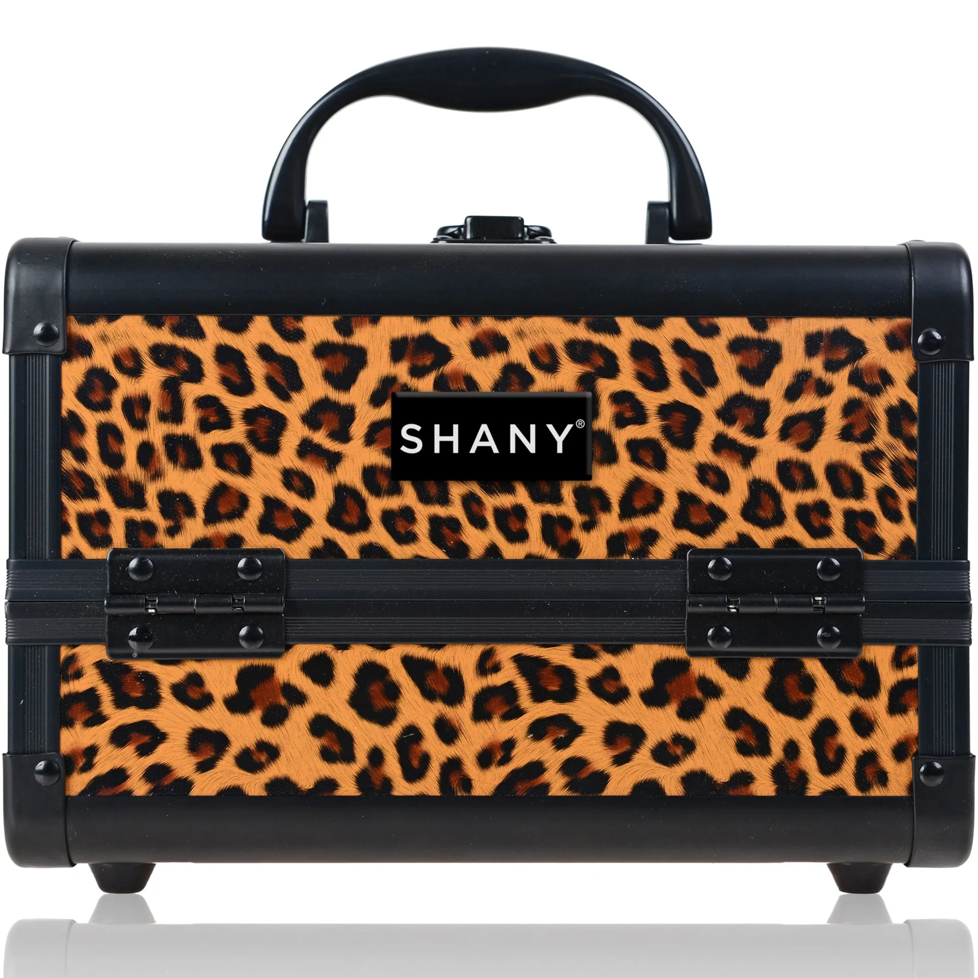 Chic Makeup Train Case with Mirror