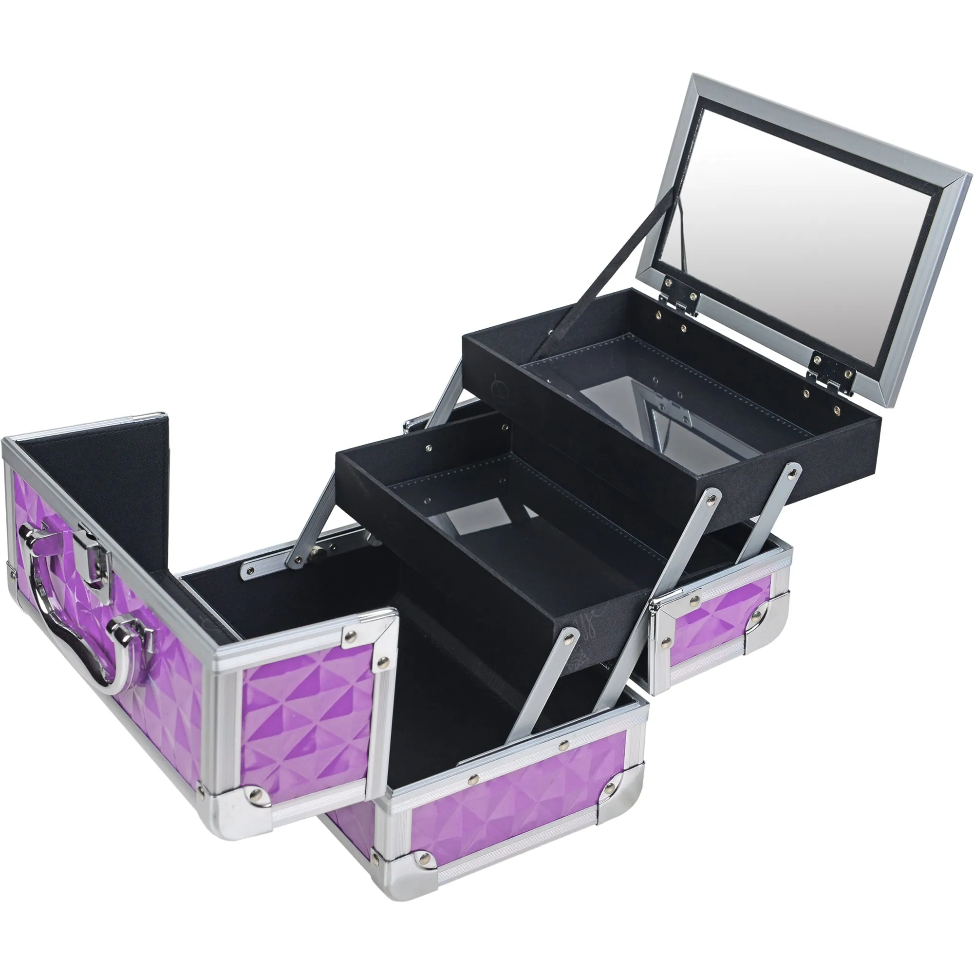 Chic Makeup Train Case with Mirror