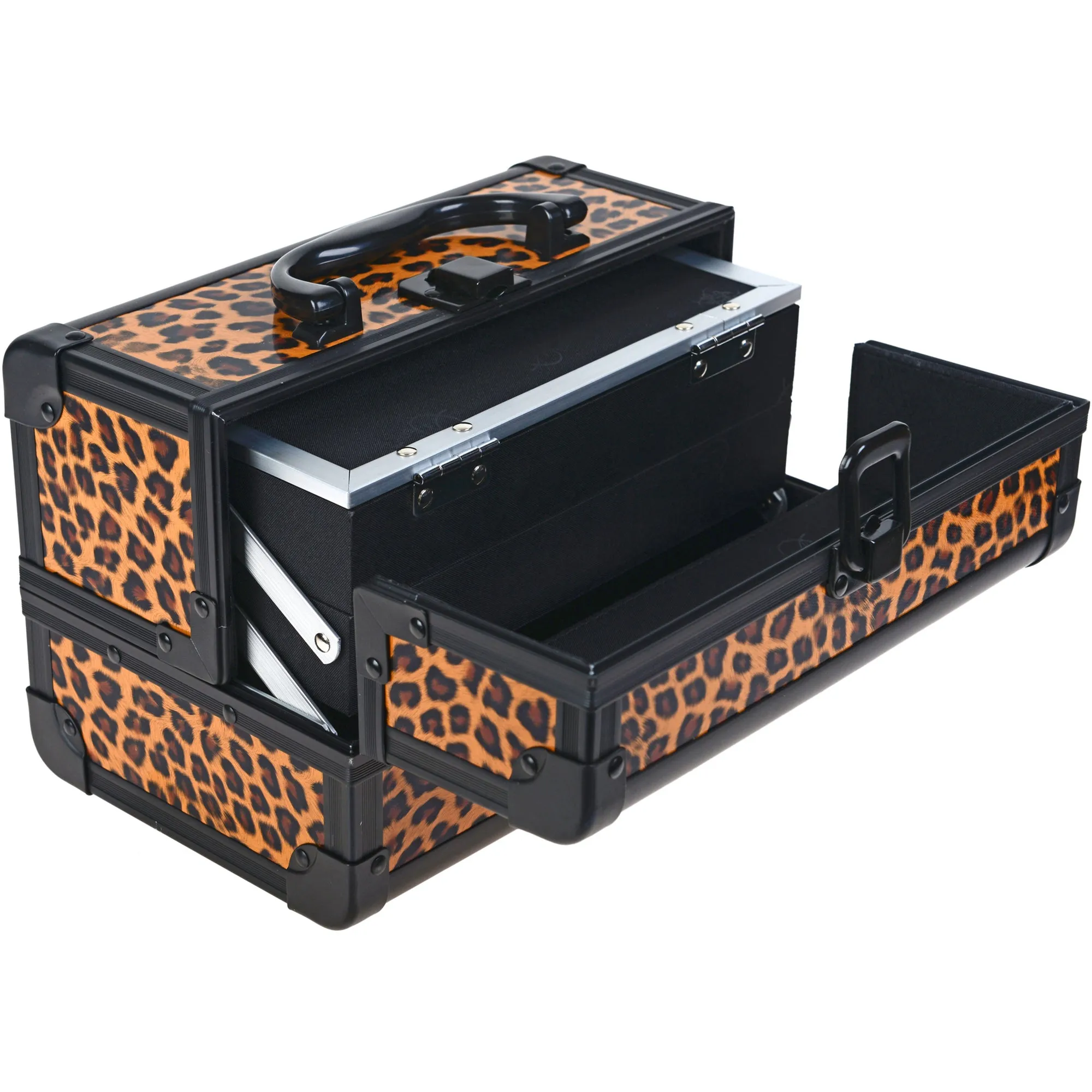Chic Makeup Train Case with Mirror