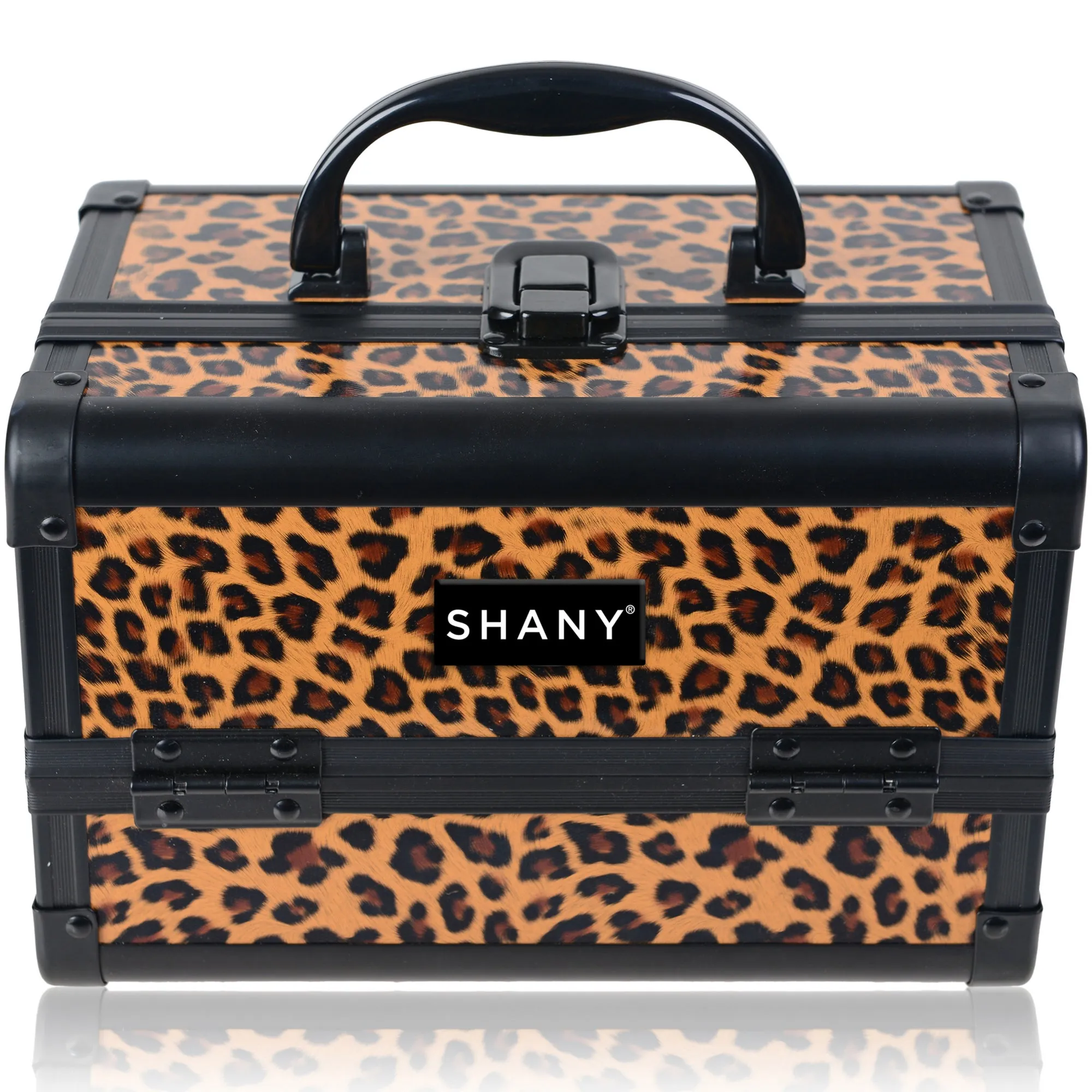 Chic Makeup Train Case with Mirror