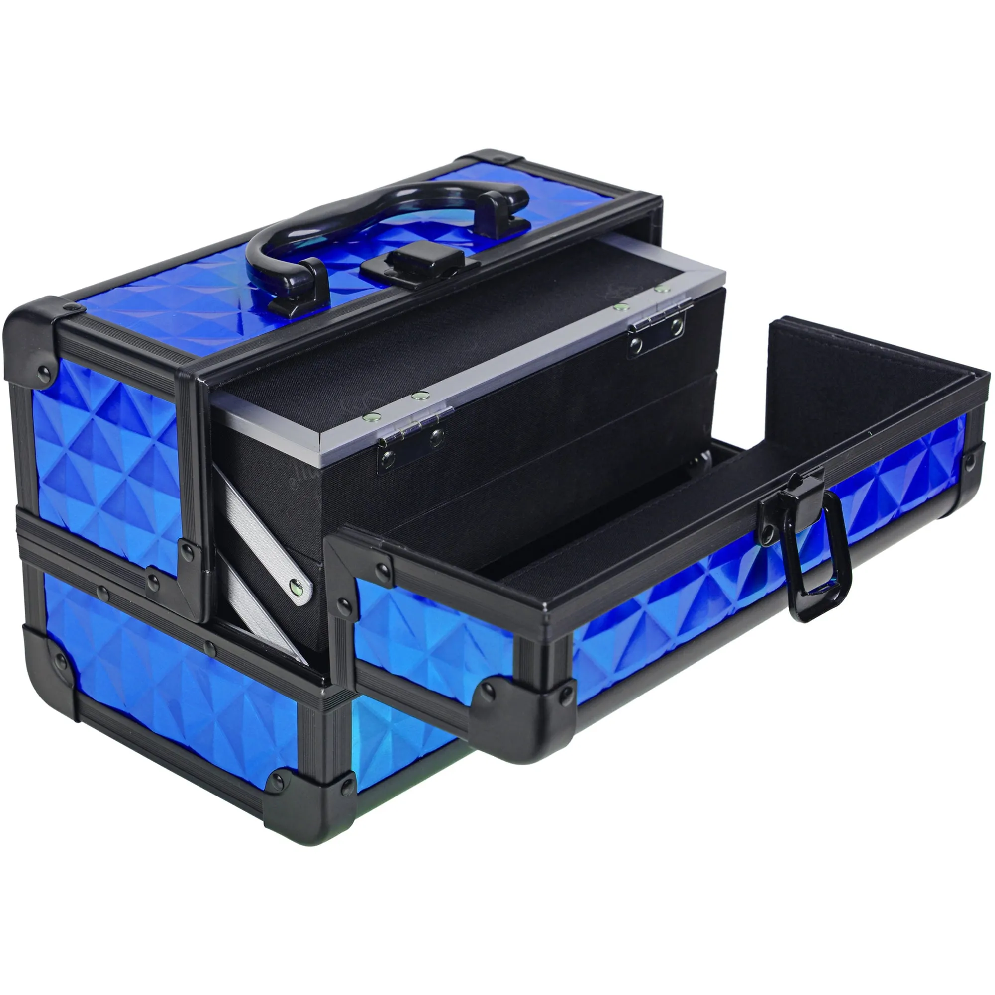 Chic Makeup Train Case with Mirror