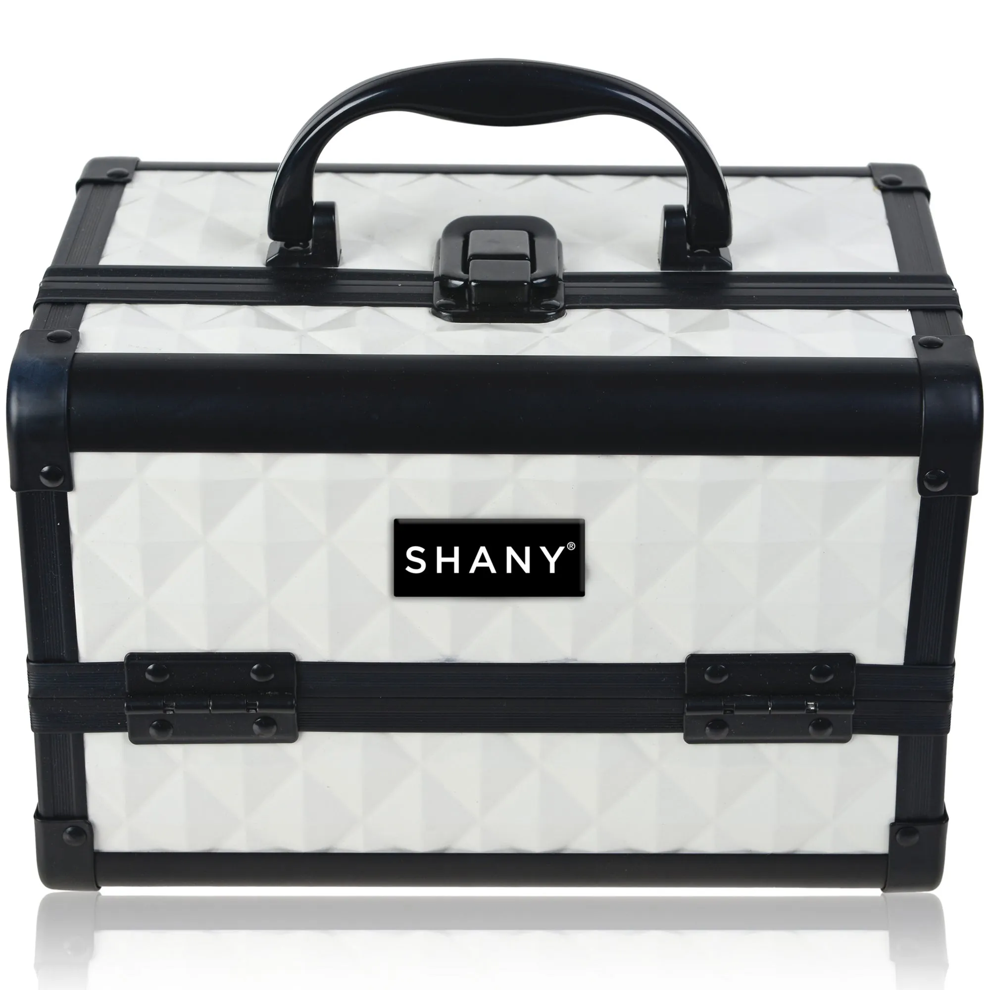 Chic Makeup Train Case with Mirror