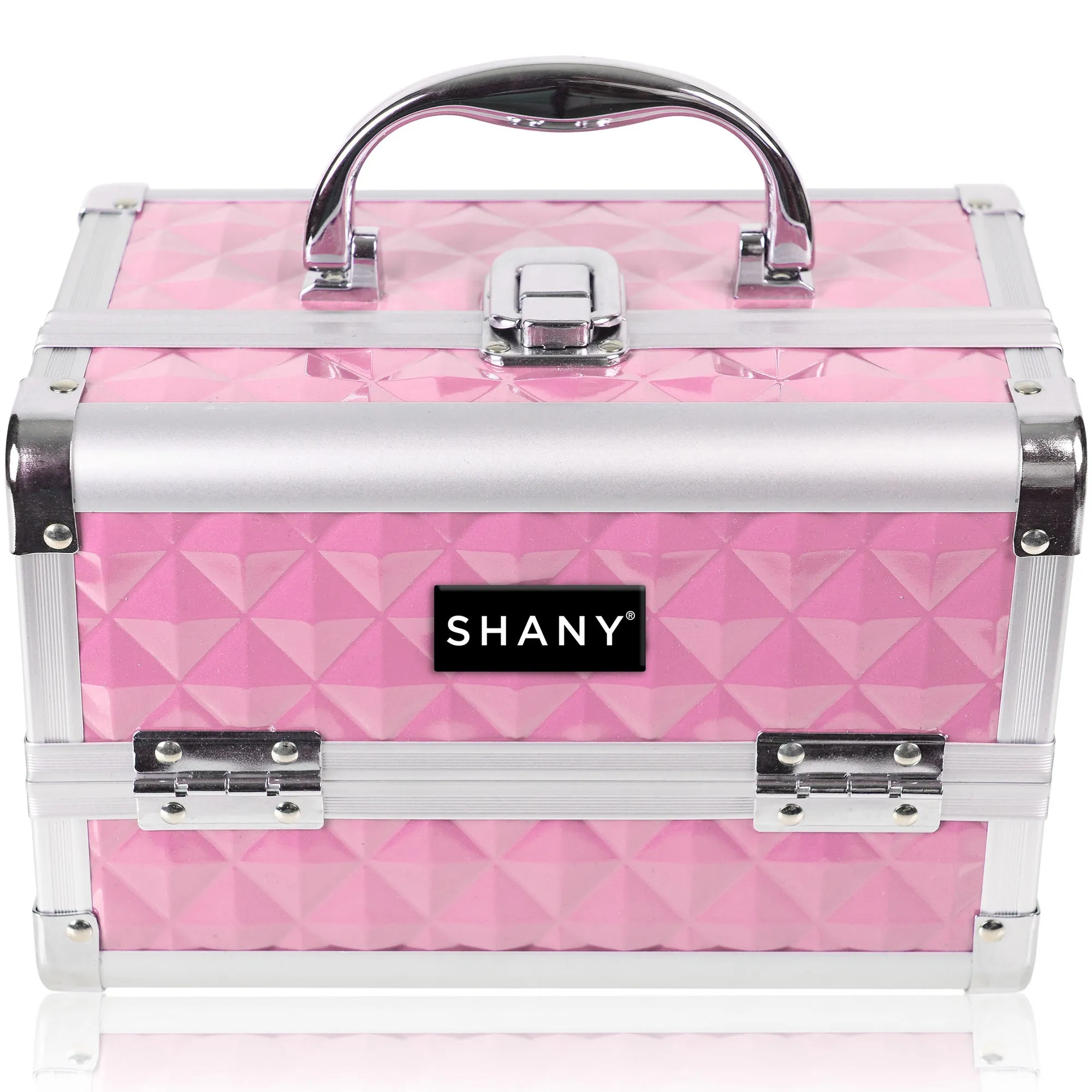 Chic Makeup Train Case with Mirror