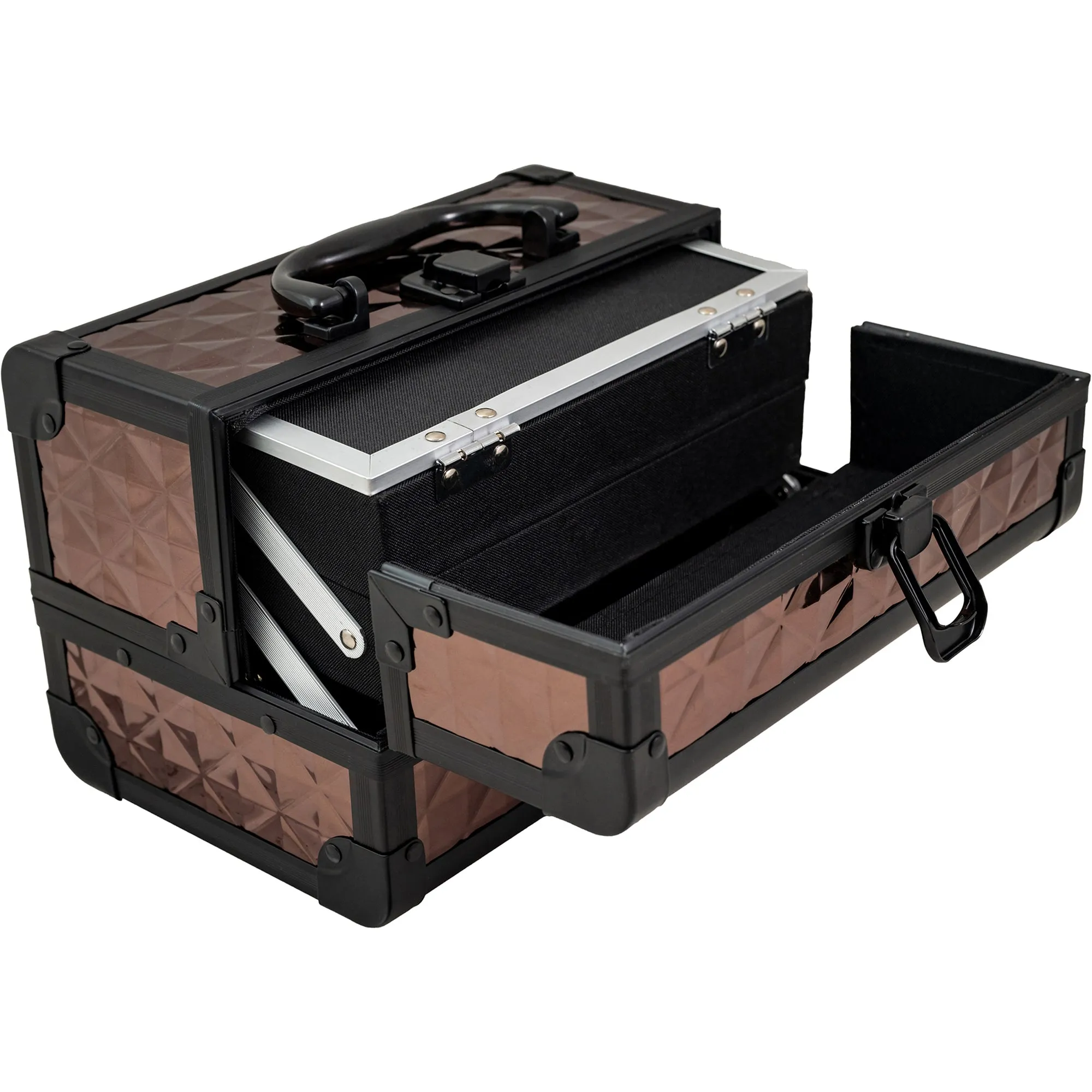 Chic Makeup Train Case with Mirror