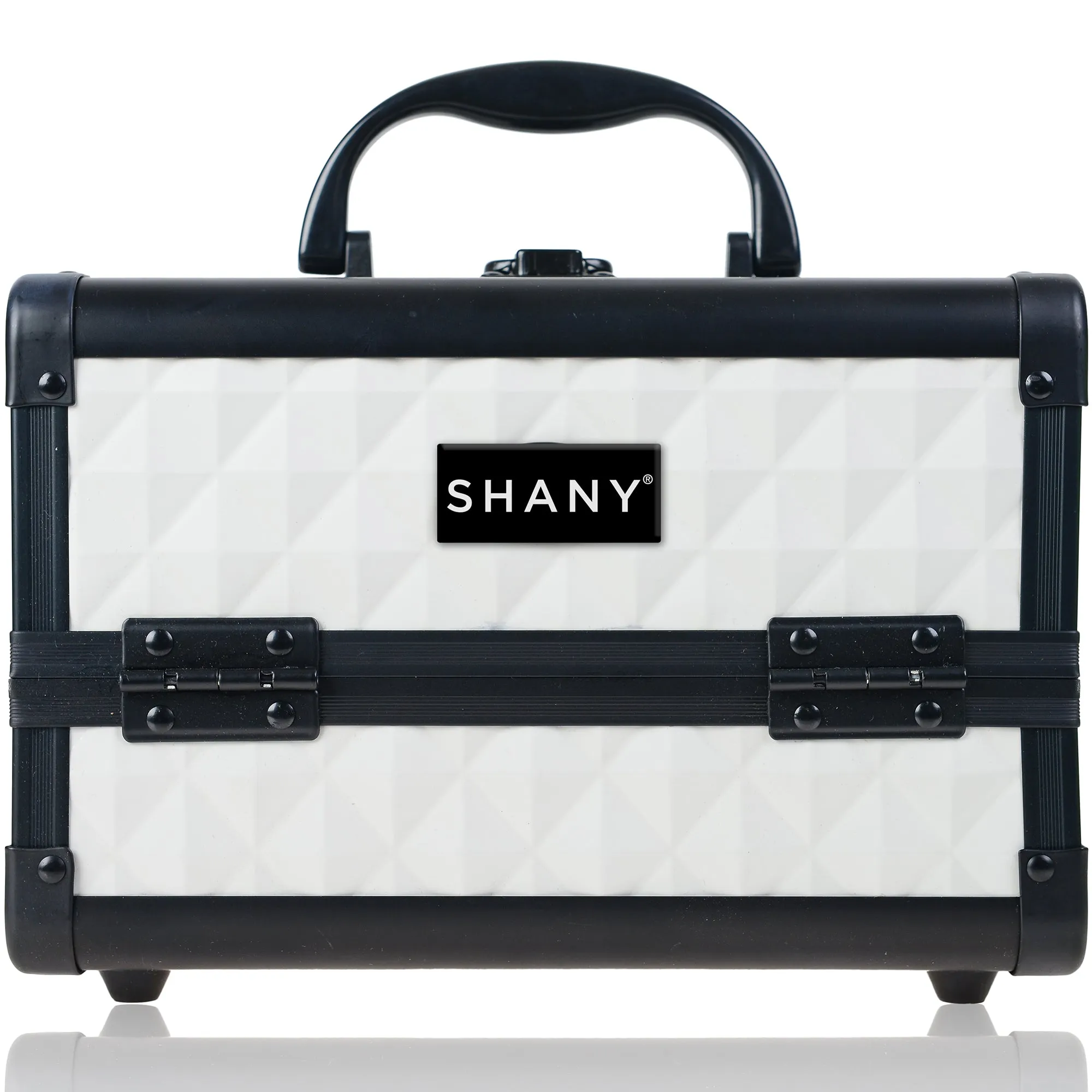Chic Makeup Train Case with Mirror