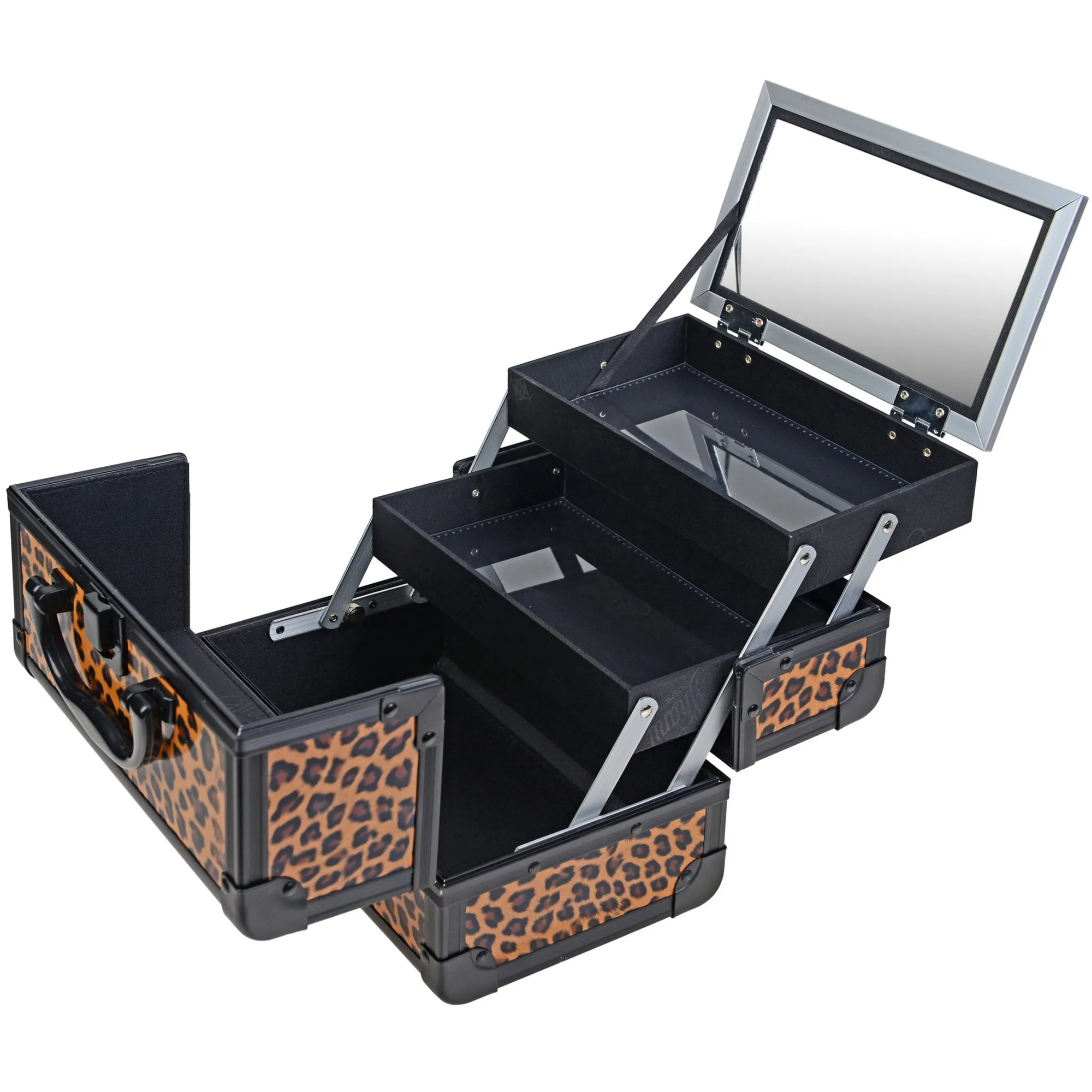 Chic Makeup Train Case with Mirror