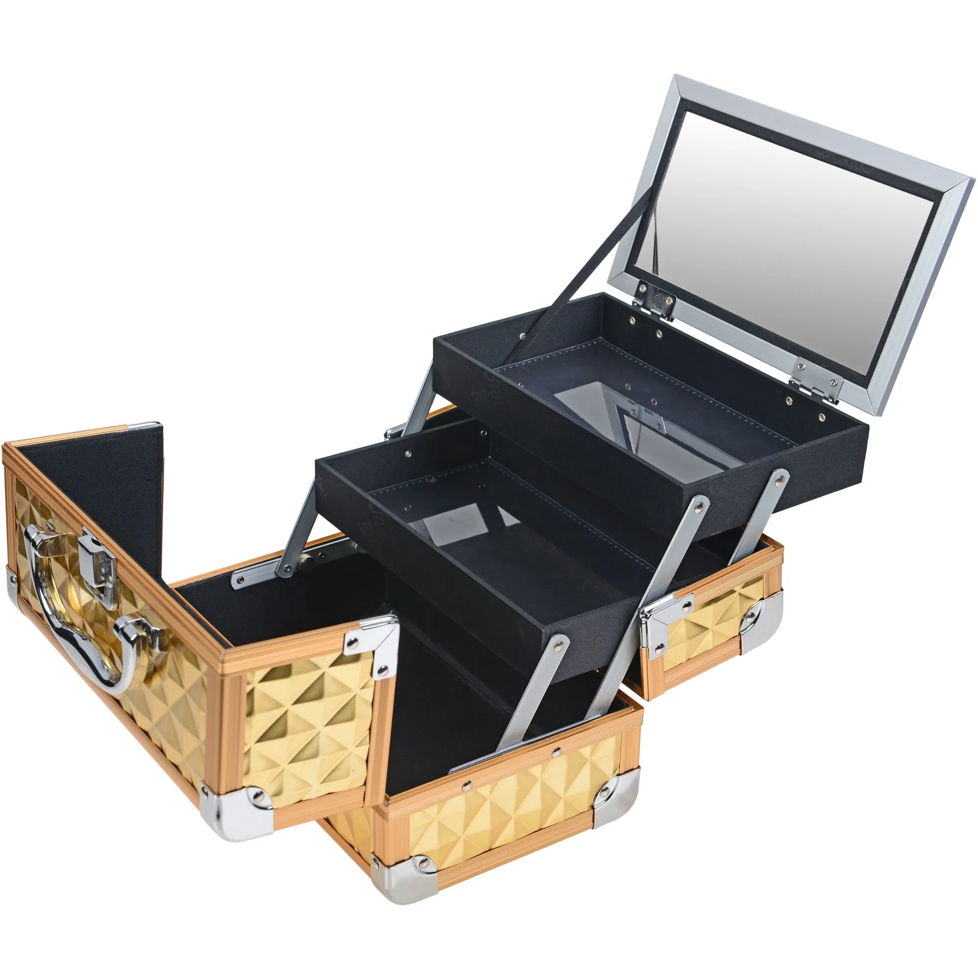 Chic Makeup Train Case with Mirror