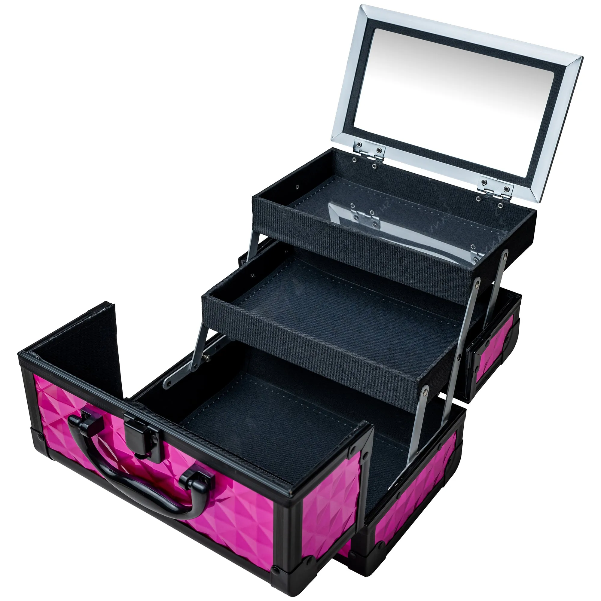 Chic Makeup Train Case with Mirror