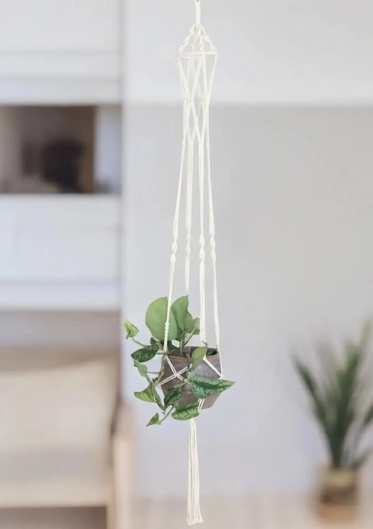 Cotton Rope Hanging Basket