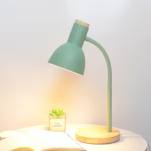 Creative Wooden Iron Table & Desk Lamp-Green