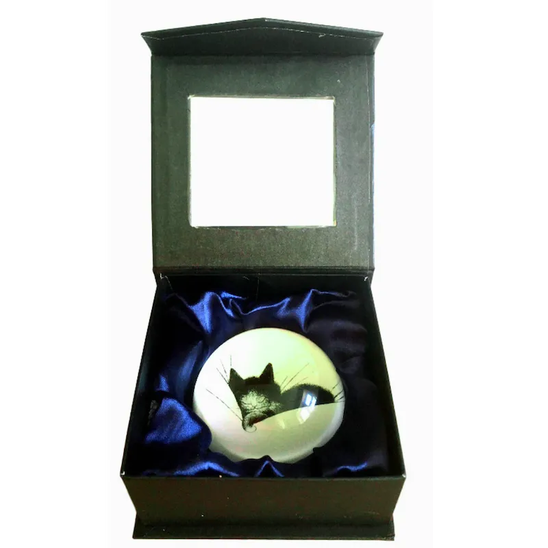 Dubout Cats - Cat Nap Black Cat Glass Paperweight