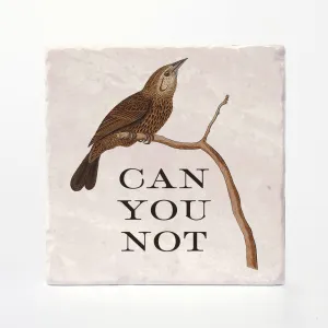 Effin' Birds Coaster- Can You Not