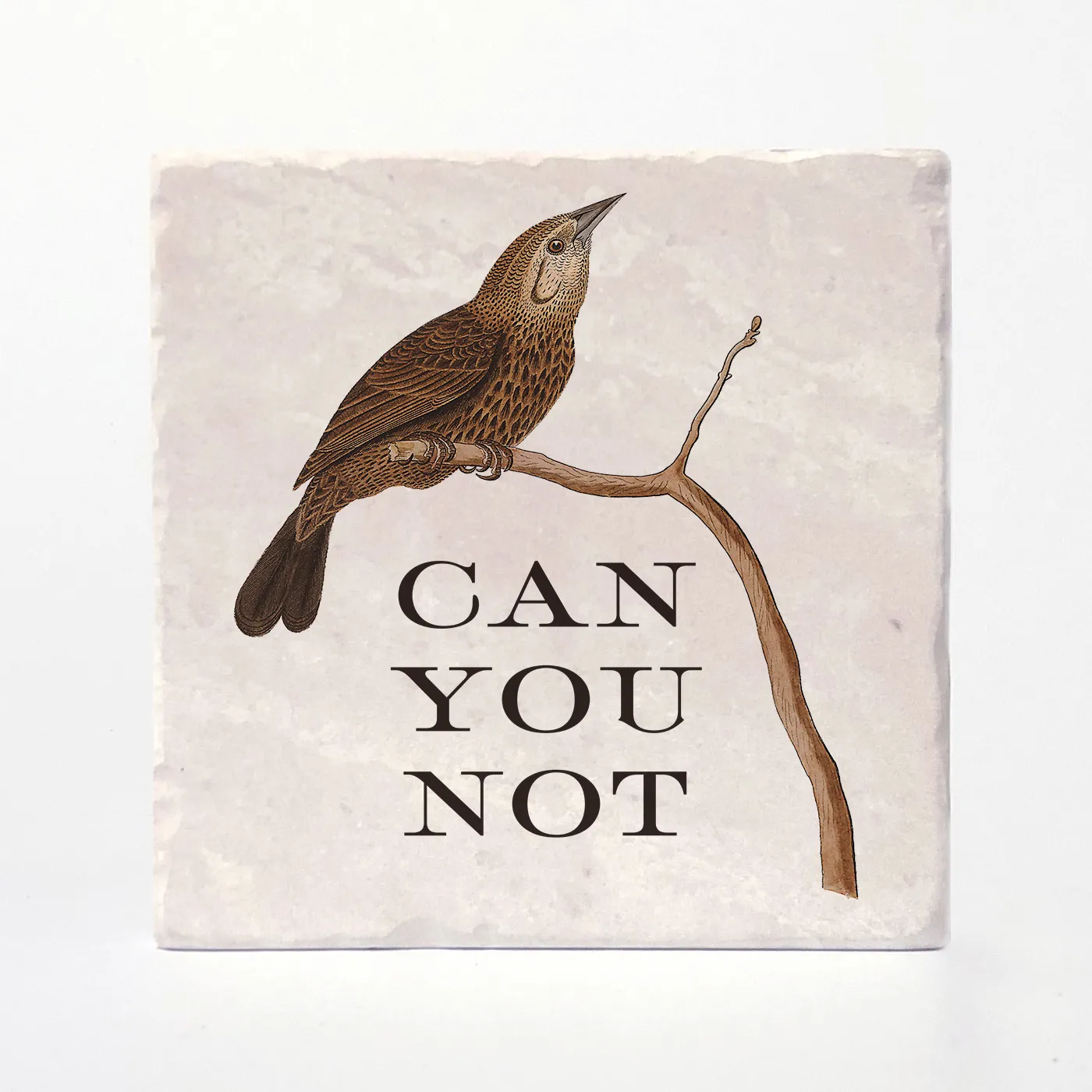 Effin' Birds Coaster- Can You Not