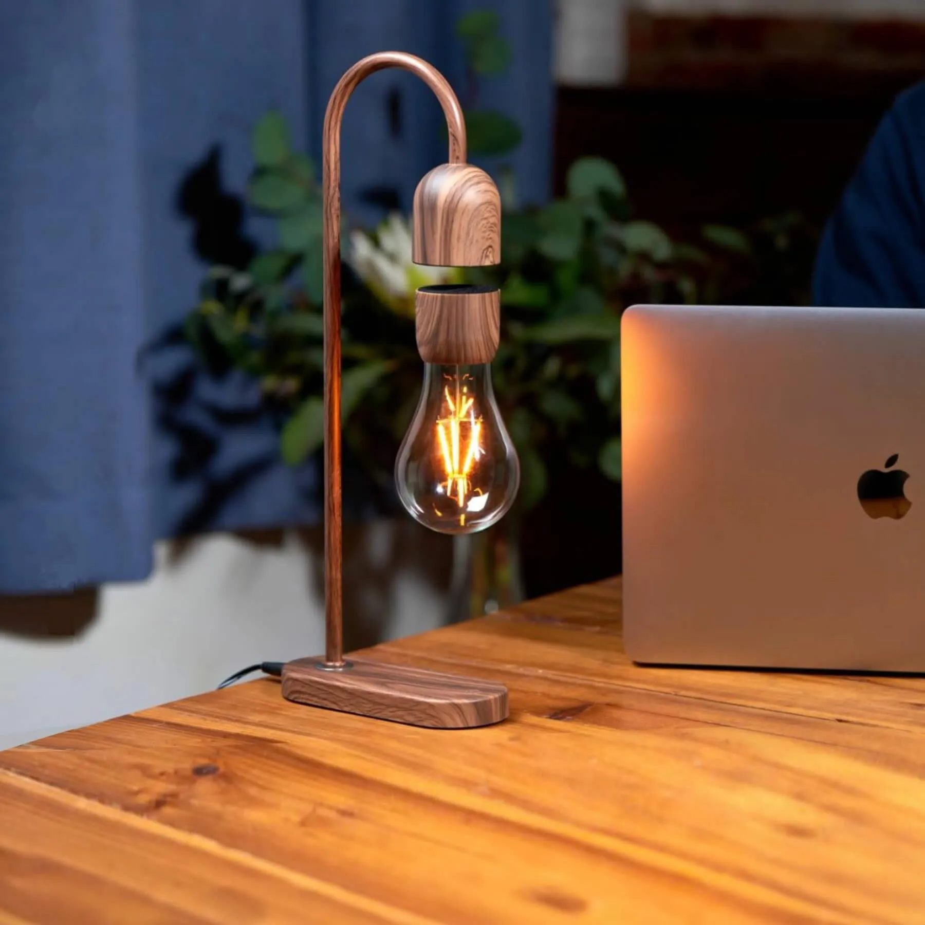 Evaro Lightbulb Lamp