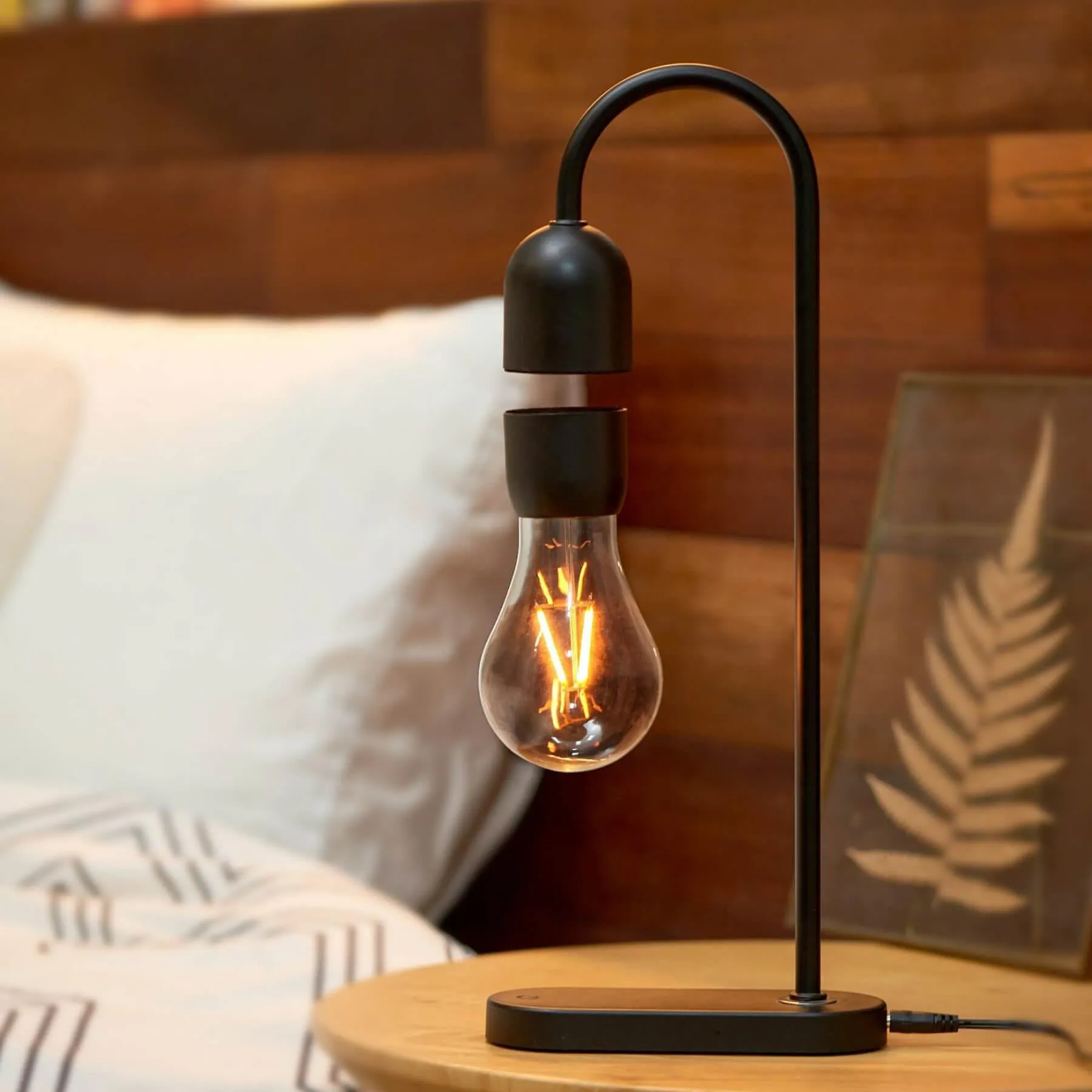 Evaro Lightbulb Lamp