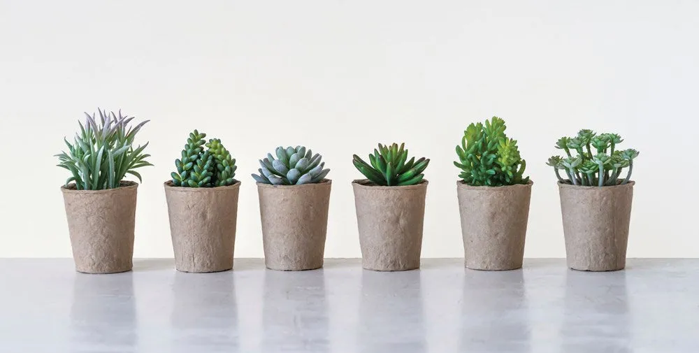 Faux Succulents in Paper Pots