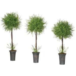 Feather Fern Topiary Set Of 3