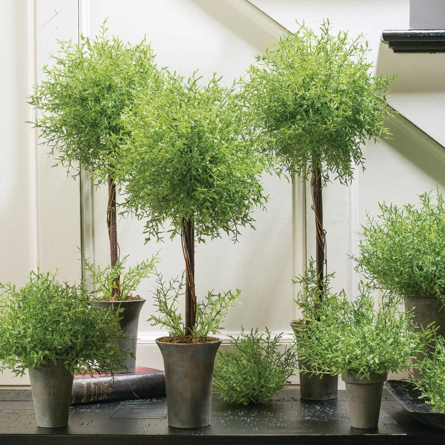 Feather Fern Topiary Set Of 3