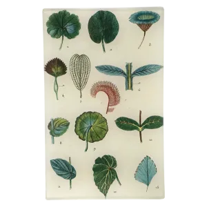 Feuilles Leaves 5 x 8" Tray