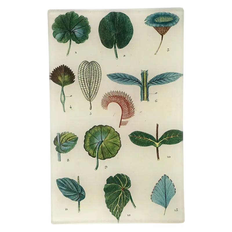 Feuilles Leaves 5 x 8" Tray