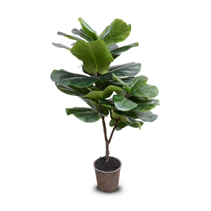 Fiddle Leaf Fig Tree 50"